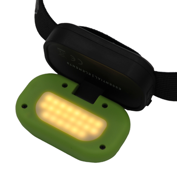 EE HEAD+BEAM450, grass green, 450 Lumen, Stirnlampe / Leselicht mit Box und Ladekabel USB-C