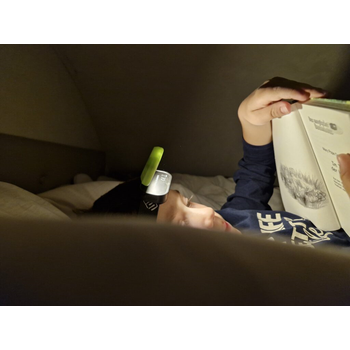 HEAD+BEAM450, grass green, 450 lumen, Head lamp / Reading light with box and cable USB-C